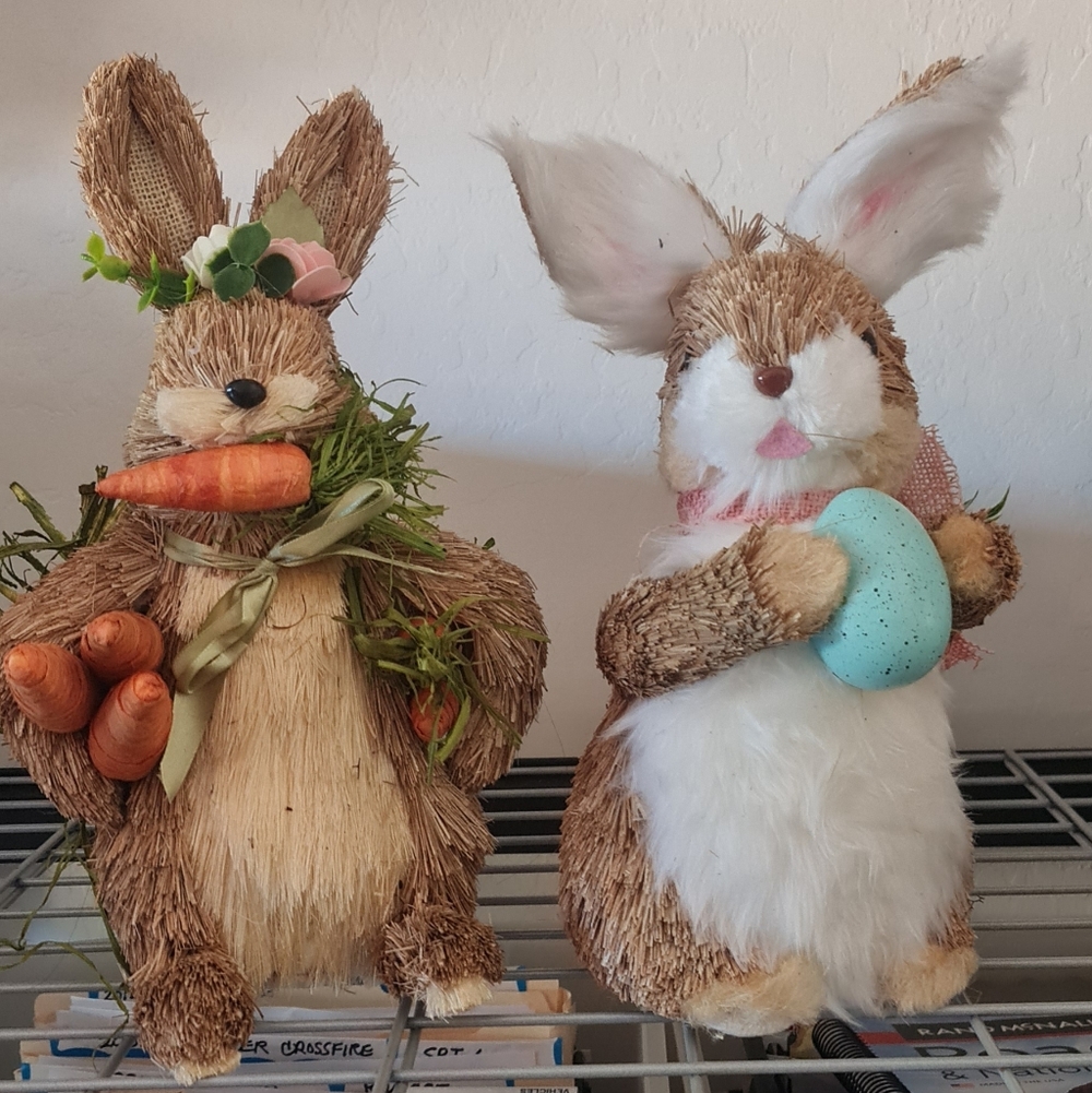 Michaels Sisal Bunny by Ashland Set/2 Carrot & Egg - White Fake Fur - EUC